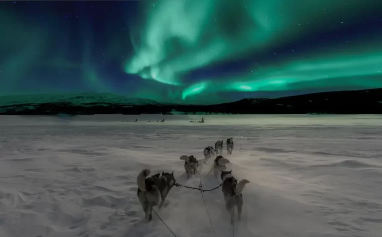 Polarlichter sehen